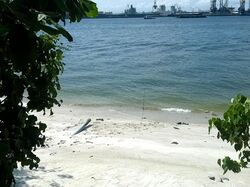 Blk 442A Punggol Point Cove (Punggol), HDB 4 Rooms #511111261